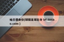 哈兰德身价{球探足球比分 bf.588bo.com }